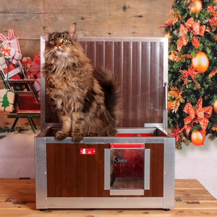 CUȘTI PENTRU PISICI