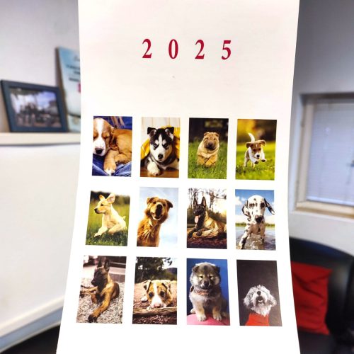 PUPPY Calender 2025