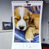 PUPPY Calender 2025