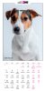 PUPPY Calender 2026