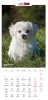 PUPPY Calender 2026