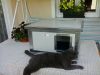 INFRA HEATED Thermo Renato Cat house "CAT" insize