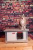 INFRA HEATED Thermo Renato Cat house "CAT" insize