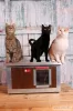 [IF-W-HC1-W] Cușcă cu încălzire infraroșu pentru pisici Thermo WOODY CAT cu geam panoramic (54x38x28cm)