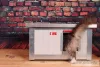 [RH_C1-W] Cușcă pentru pisici Thermo WOODY CAT cu geam panoramic (54x38x28cm)
