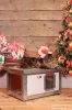 [RH_C1-W] Cușcă pentru pisici Thermo WOODY CAT cu geam panoramic (54x38x28cm)