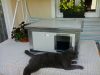 Thermo Renato Cat house "CAT" insize