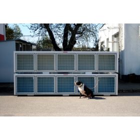 Training box RK575, 5 Box, insize/box