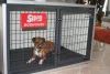 Room Kennel