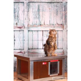   [WH_C1-W] Cușcă pentru pisici Thermo Woody CAT cu geam panoramic (54x38x28cm)