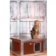 [WH_C1-W] Cușcă pentru pisici Thermo Woody CAT cu geam panoramic (54x38x28cm)
