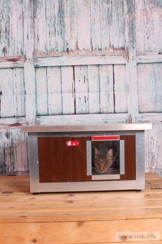 Thermo Woody Cat house "CAT" insize