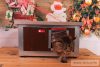 Thermo Woody Cat house "CAT" insize