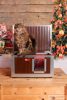 Thermo Woody Cat house "CAT" insize