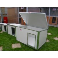 Dog house